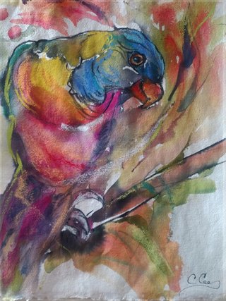 My Parrot in Color Honerable Mention